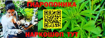 mdpv Ярославль