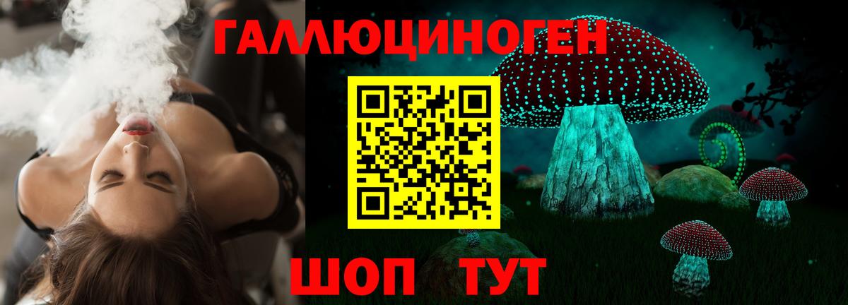 Алексин  Псилоцибиновые грибы мицелий  Псилоцибиновые грибы GOLDEN TEACHER  Вход с VPN 